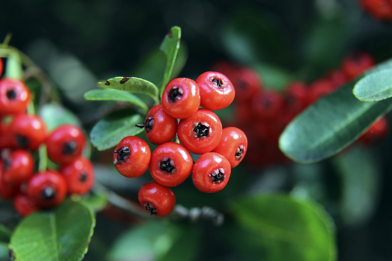 中表现强势 中表现强势