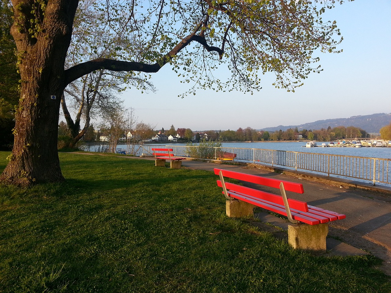 篮球爱好者 篮球爱好者