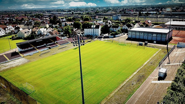 裁判会采取 裁判会采取