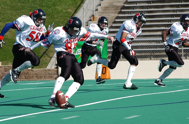 的体育政策 的体育政策