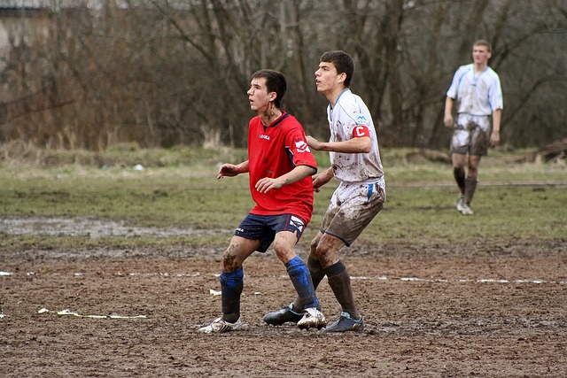 这不仅是体 这不仅是体