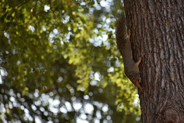 手们的表现 手们的表现